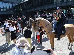 里尔训练开放日，转会期再遭质疑引欢呼，社区盾在即，数据趋势出现新变化(escl解锁失败处理方法)